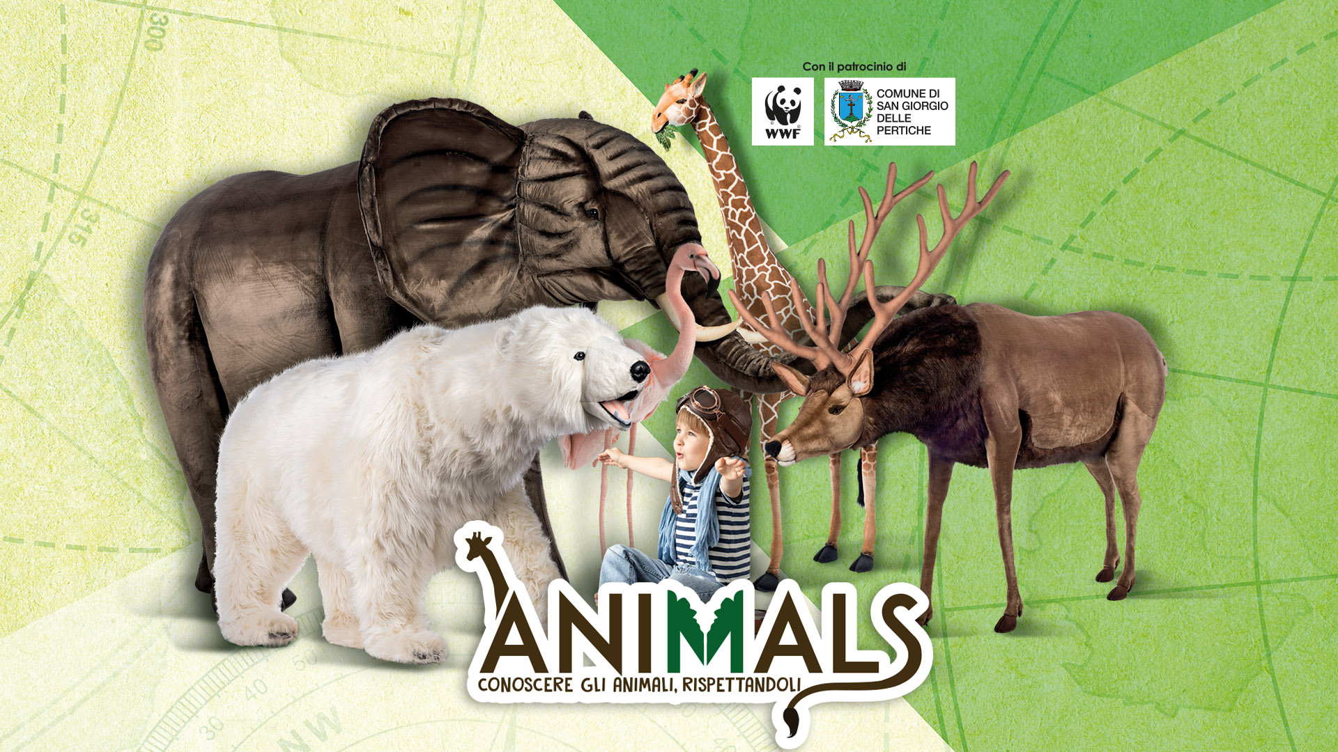 Mostra evento "Animals - conoscere gli animali, rispettandoli