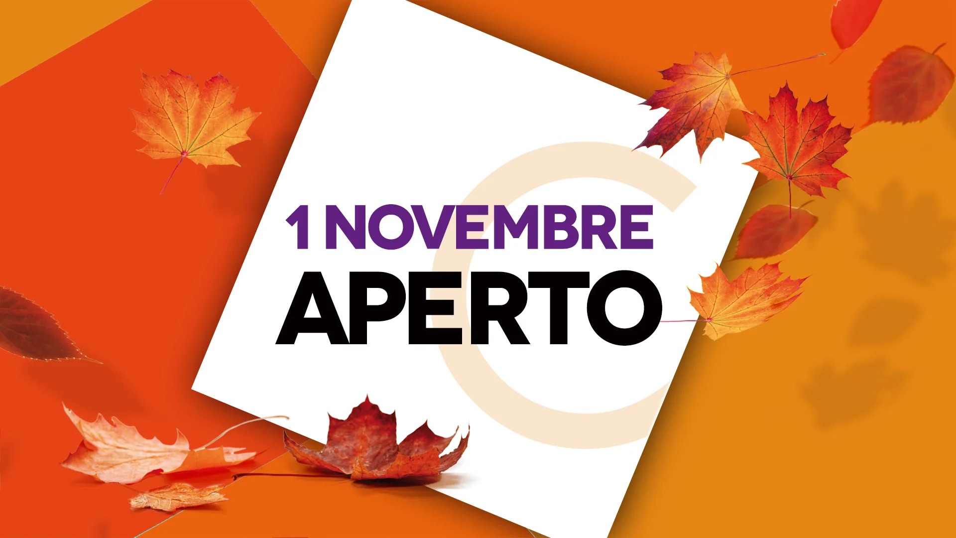 1 Novembre: siamo aperti!