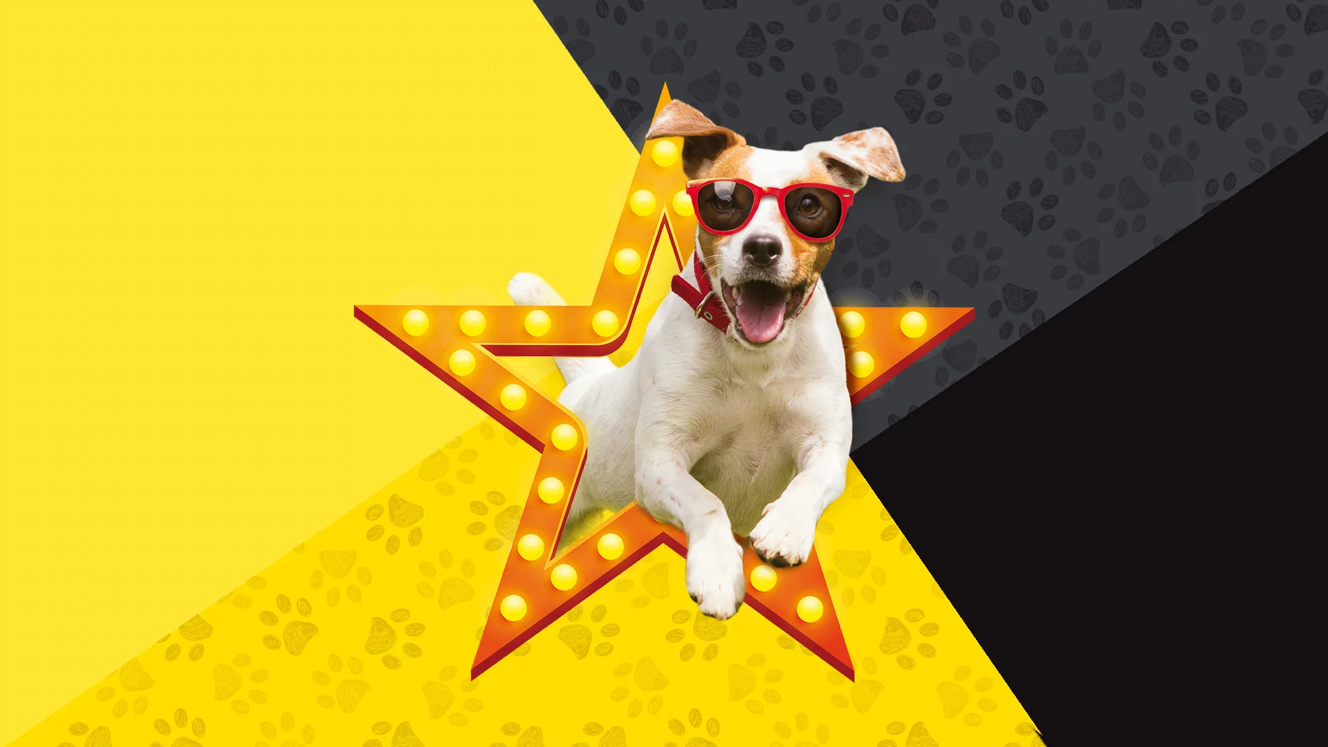 Domenica 22 settembre: I Love My Pet!